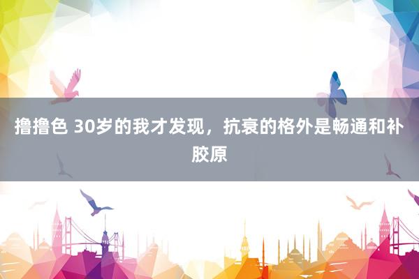 撸撸色 30岁的我才发现,抗衰的格外是畅通和补胶原