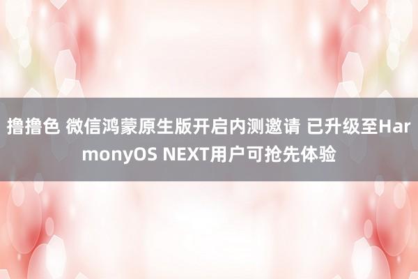 撸撸色 微信鸿蒙原生版开启内测邀请 已升级至HarmonyOS NEXT用户可抢先体验