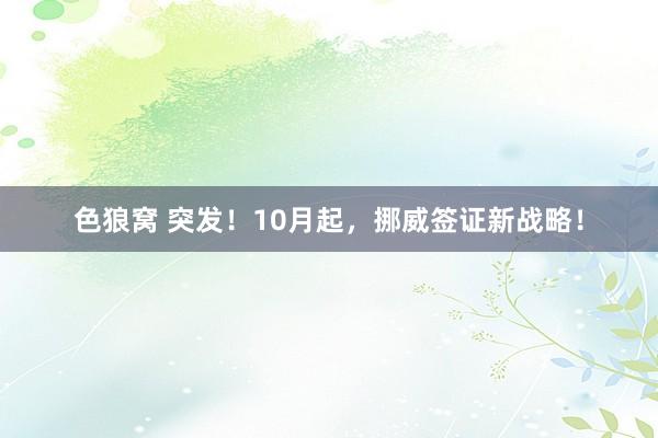 色狼窝 突发!10月起,挪威签证新战略!