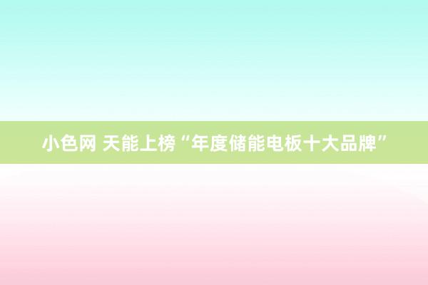 小色网 天能上榜“年度储能电板十大品牌”