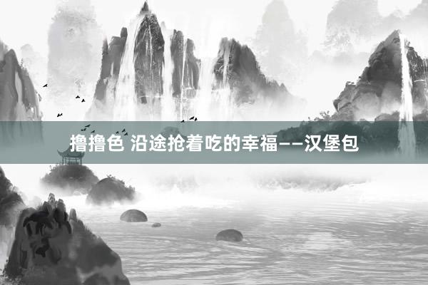 撸撸色 沿途抢着吃的幸福——汉堡包
