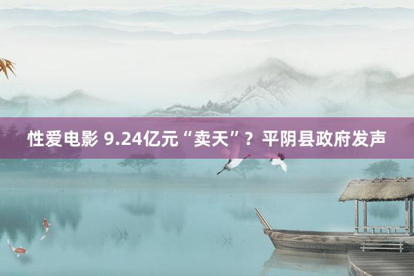 性爱电影 9.24亿元“卖天”？平阴县政府发声
