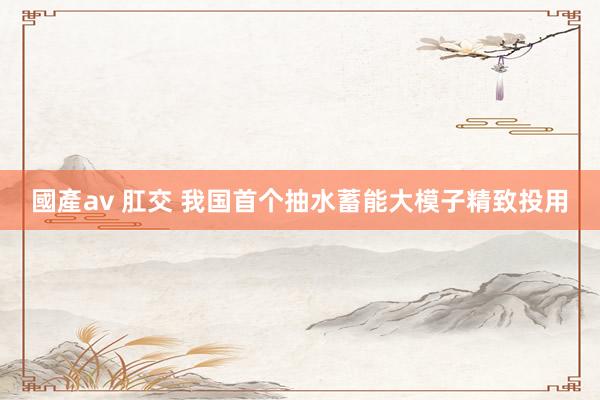 國產av 肛交 我国首个抽水蓄能大模子精致投用