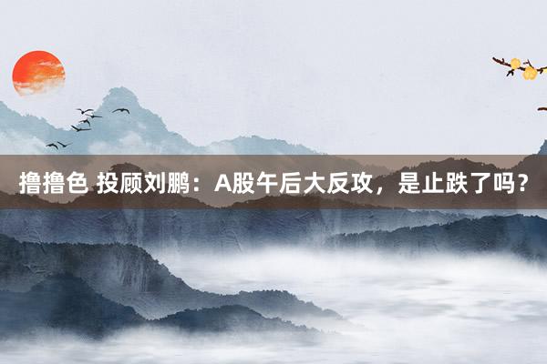 撸撸色 投顾刘鹏：A股午后大反攻，是止跌了吗？