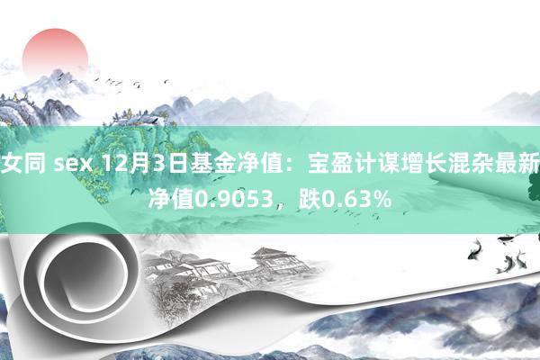 女同 sex 12月3日基金净值：宝盈计谋增长混杂最新净值0.9053，跌0.63%