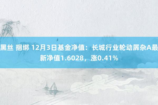黑丝 捆绑 12月3日基金净值：长城行业轮动羼杂A最新净值1.6028，涨0.41%