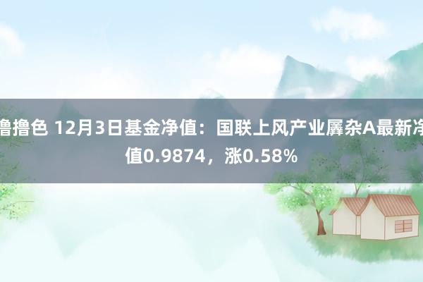 撸撸色 12月3日基金净值：国联上风产业羼杂A最新净值0.9874，涨0.58%