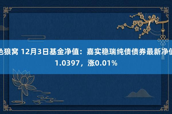 色狼窝 12月3日基金净值：嘉实稳瑞纯债债券最新净值1.0397，涨0.01%