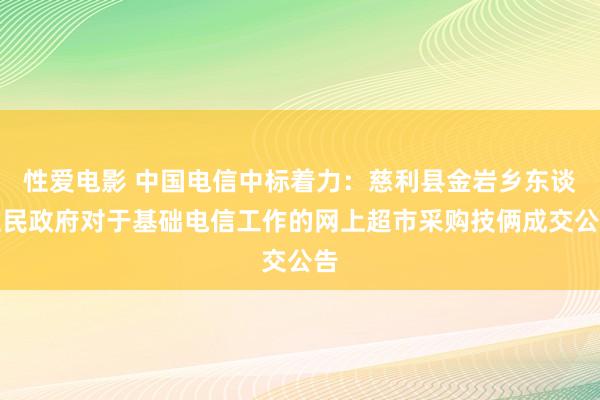 性爱电影 中国电信中标着力：慈利县金岩乡东谈主民政府对于基础电信工作的网上超市采购技俩成交公告