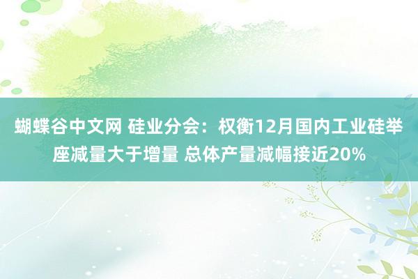 蝴蝶谷中文网 硅业分会：权衡12月国内工业硅举座减量大于增量 总体产量减幅接近20%