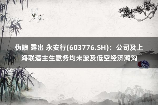 伪娘 露出 永安行(603776.SH)：公司及上海联适主生意务均未波及低空经济鸿沟