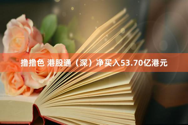 撸撸色 港股通（深）净买入53.70亿港元