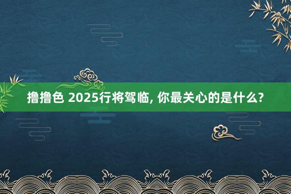 撸撸色 2025行将驾临， 你最关心的是什么?