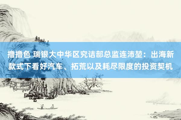 撸撸色 瑞银大中华区究诘部总监连沛堃：出海新款式下看好汽车、拓荒以及耗尽限度的投资契机