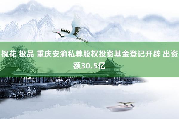 探花 极品 重庆安渝私募股权投资基金登记开辟 出资额30.5亿