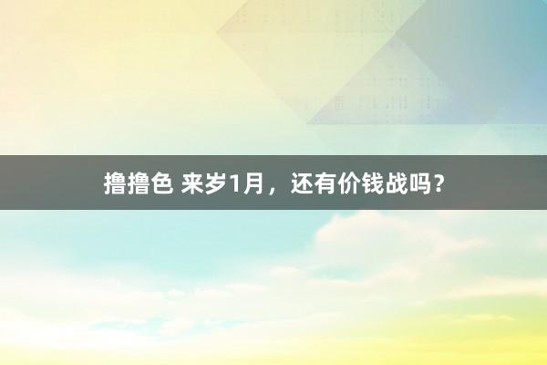 撸撸色 来岁1月，还有价钱战吗？