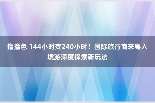 撸撸色 144小时变240小时！国际旅行商来粤入境游深度探索新玩法