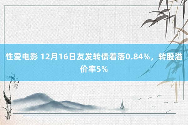 性爱电影 12月16日友发转债着落0.84%，转股溢价率5%