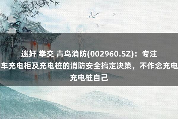 迷奸 拳交 青鸟消防(002960.SZ)：专注于电动车充电柜及充电桩的消防安全搞定决策，不作念充电桩自己