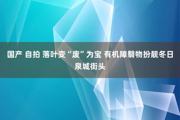 国产 自拍 落叶变“废”为宝 有机障翳物扮靓冬日泉城街头
