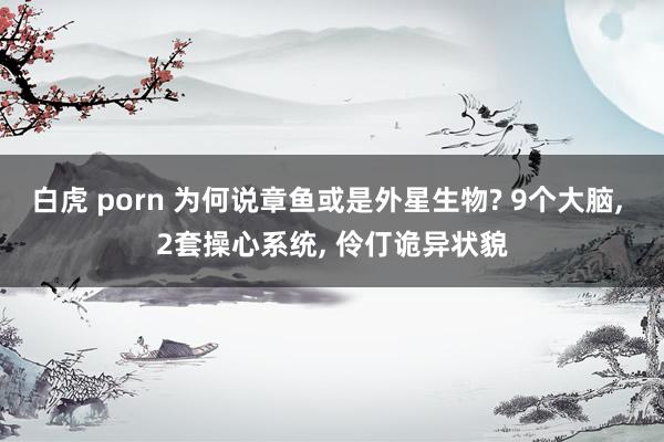 白虎 porn 为何说章鱼或是外星生物? 9个大脑， 2套操心系统， 伶仃诡异状貌