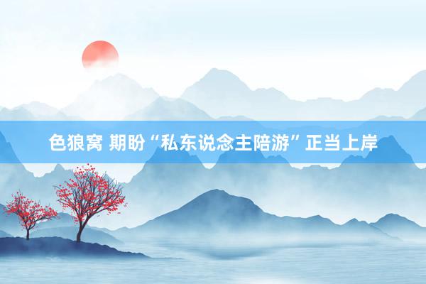 色狼窝 期盼“私东说念主陪游”正当上岸