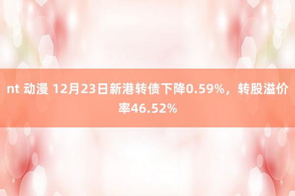 nt 动漫 12月23日新港转债下降0.59%，转股溢价率46.52%