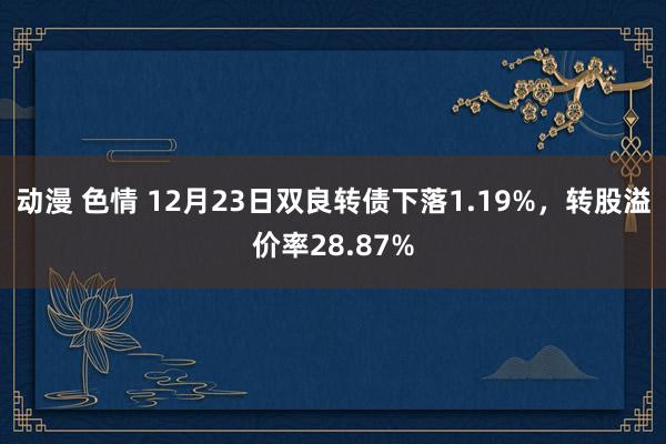 动漫 色情 12月23日双良转债下落1.19%，转股溢价率28.87%
