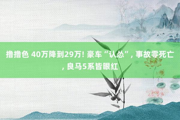 撸撸色 40万降到29万! 豪车“认怂”， 事故零死亡， 良马5系皆眼红