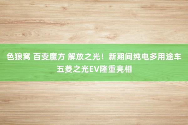 色狼窝 百变魔方 解放之光！新期间纯电多用途车五菱之光EV隆重亮相