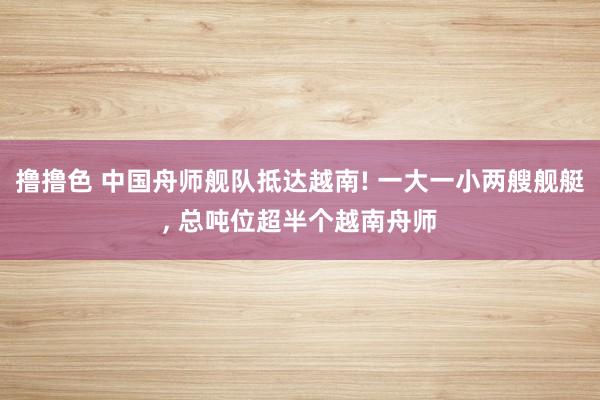 撸撸色 中国舟师舰队抵达越南! 一大一小两艘舰艇， 总吨位超半个越南舟师