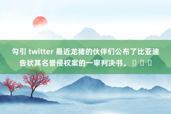 勾引 twitter 最近龙猪的伙伴们公布了比亚迪告状其名誉侵权案的一审判决书。 ​​​