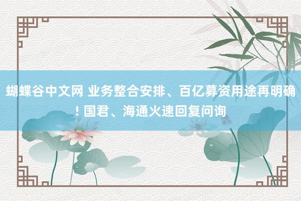 蝴蝶谷中文网 业务整合安排、百亿募资用途再明确! 国君、海通火速回复问询
