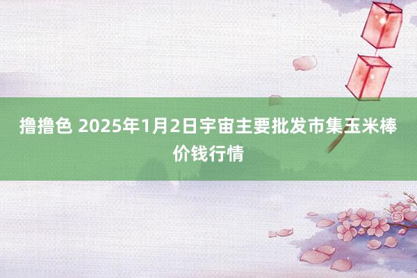 撸撸色 2025年1月2日宇宙主要批发市集玉米棒价钱行情