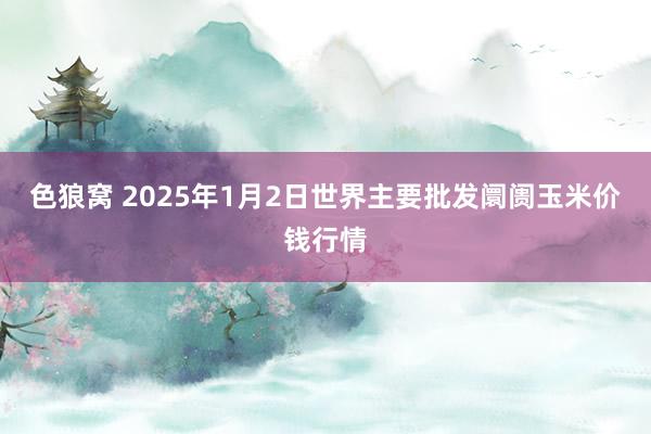 色狼窝 2025年1月2日世界主要批发阛阓玉米价钱行情