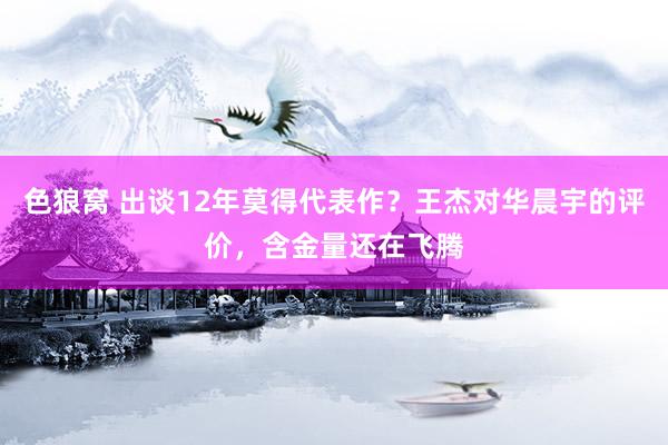 色狼窝 出谈12年莫得代表作？王杰对华晨宇的评价，含金量还在飞腾