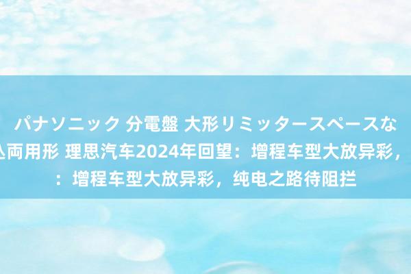 パナソニック 分電盤 大形リミッタースペースなし 露出・半埋込両用形 理思汽车2024年回望：增程车型大放异彩，纯电之路待阻拦