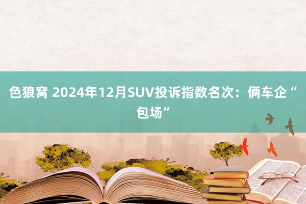 色狼窝 2024年12月SUV投诉指数名次：俩车企“包场”