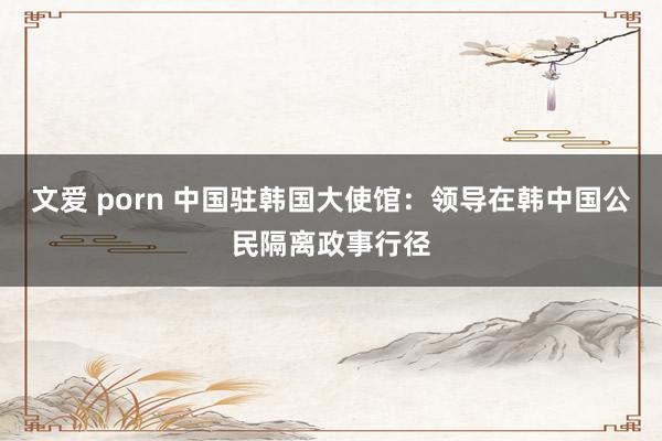 文爱 porn 中国驻韩国大使馆：领导在韩中国公民隔离政事行径