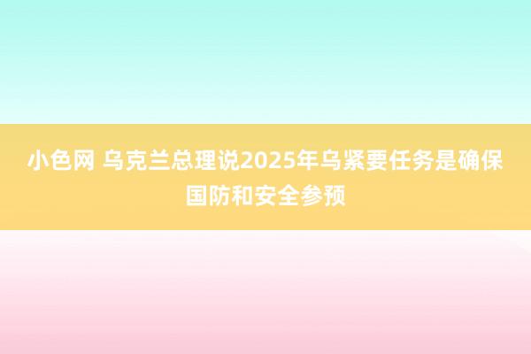 小色网 乌克兰总理说2025年乌紧要任务是确保国防和安全参预