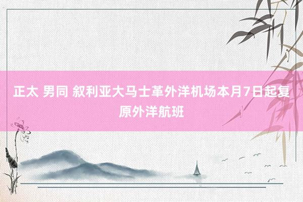 正太 男同 叙利亚大马士革外洋机场本月7日起复原外洋航班