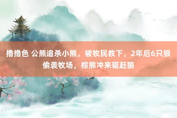 撸撸色 公熊追杀小熊，被牧民救下，2年后6只狼偷袭牧场，棕熊冲来驱赶狼