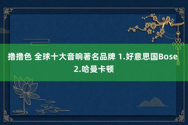 撸撸色 全球十大音响著名品牌 1.好意思国Bose 2.哈曼卡顿