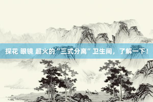 探花 眼镜 超火的“三式分离”卫生间，了解一下！