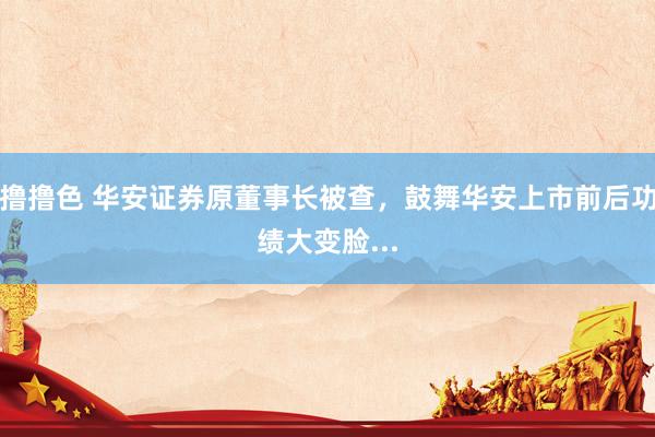 撸撸色 华安证券原董事长被查，鼓舞华安上市前后功绩大变脸...