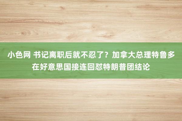 小色网 书记离职后就不忍了？加拿大总理特鲁多在好意思国接连回怼特朗普团结论