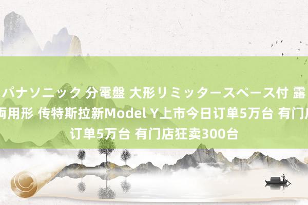 パナソニック 分電盤 大形リミッタースペース付 露出・半埋込両用形 传特斯拉新Model Y上市今日订单5万台 有门店狂卖300台