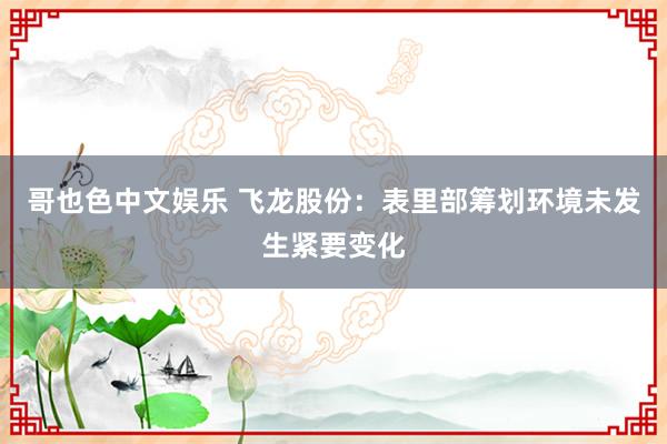 哥也色中文娱乐 飞龙股份：表里部筹划环境未发生紧要变化
