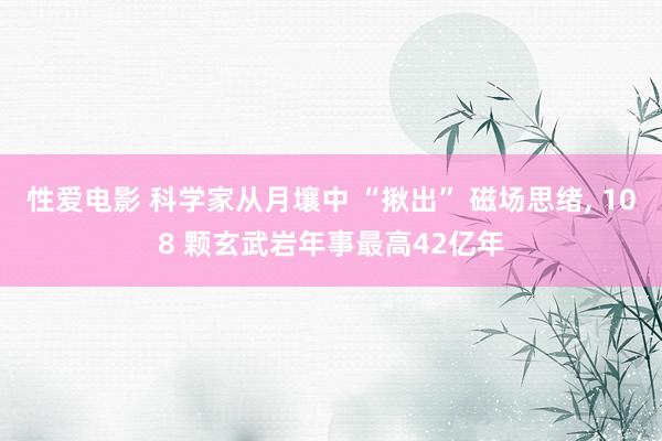 性爱电影 科学家从月壤中 “揪出” 磁场思绪， 108 颗玄武岩年事最高42亿年