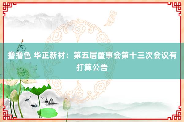 撸撸色 华正新材：第五届董事会第十三次会议有打算公告